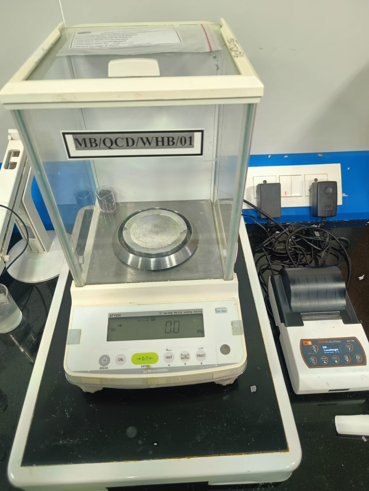 Anyatical weight balance